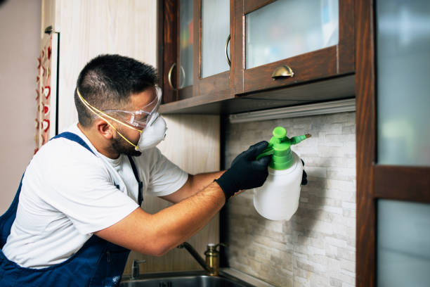 Trusted Laverne, OK Pest Control Experts