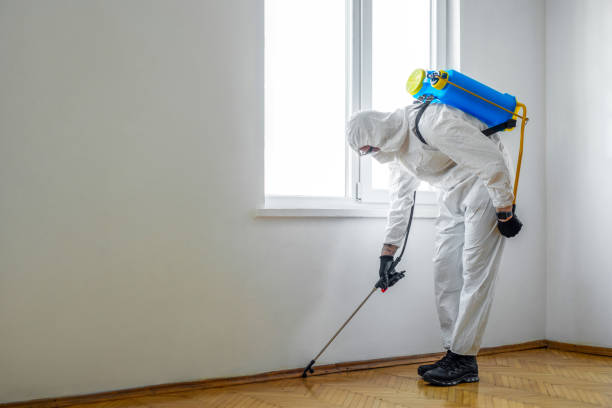 Best Pest Inspection Near Me  in Laverne, OK