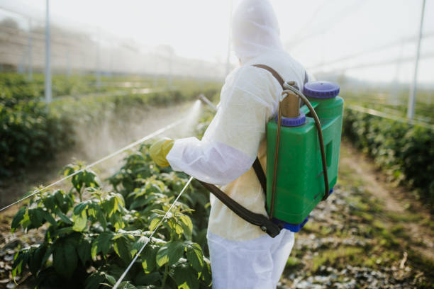Best Best Pest Control Companies  in Laverne, OK